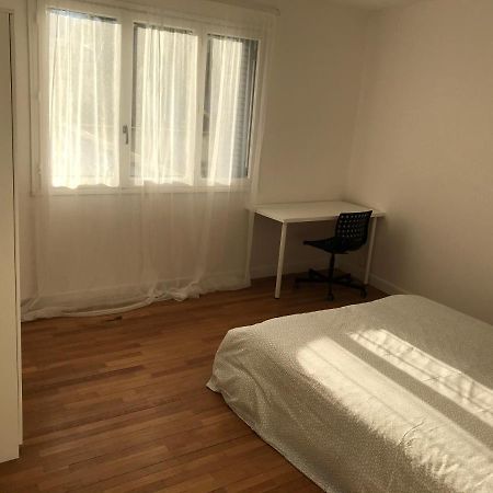 Grenoble Joli Appartement المظهر الخارجي الصورة