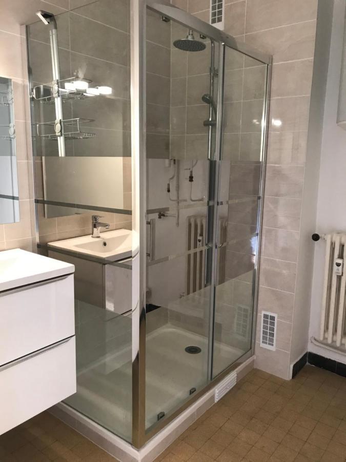 Grenoble Joli Appartement المظهر الخارجي الصورة