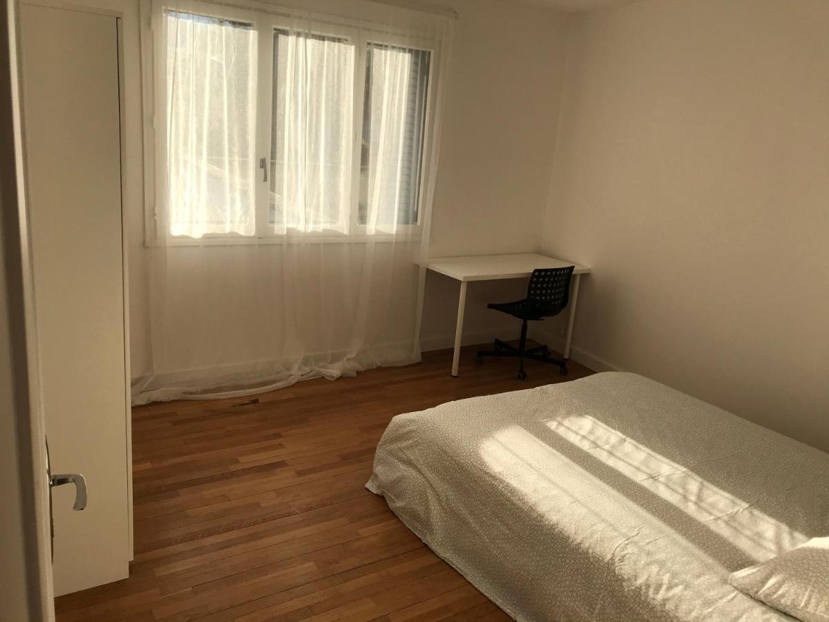 Grenoble Joli Appartement المظهر الخارجي الصورة