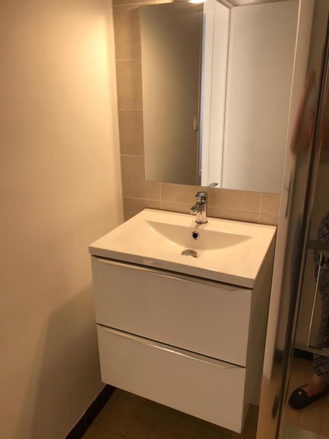 Grenoble Joli Appartement المظهر الخارجي الصورة